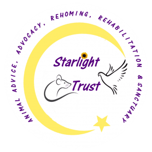 Starlight Trust